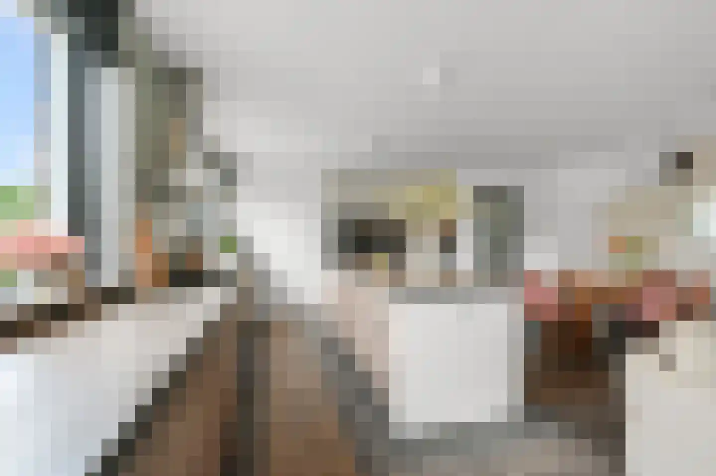 Oossaander Hoop 2 Amsterdam thumbnail 13
