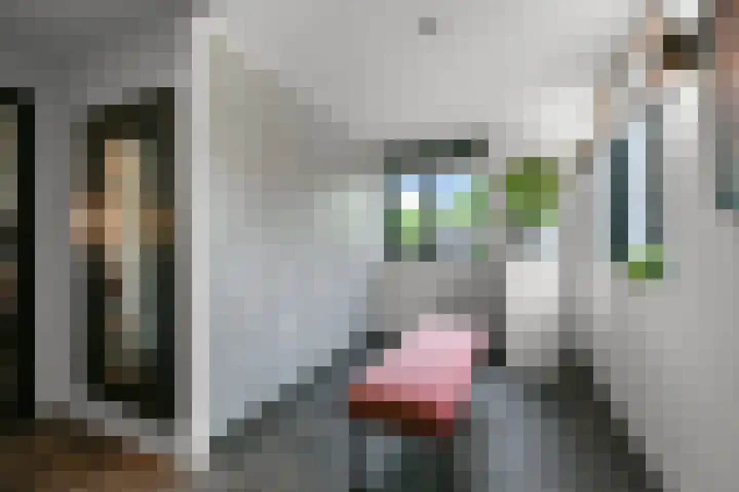 Oossaander Hoop 2 Amsterdam thumbnail 22