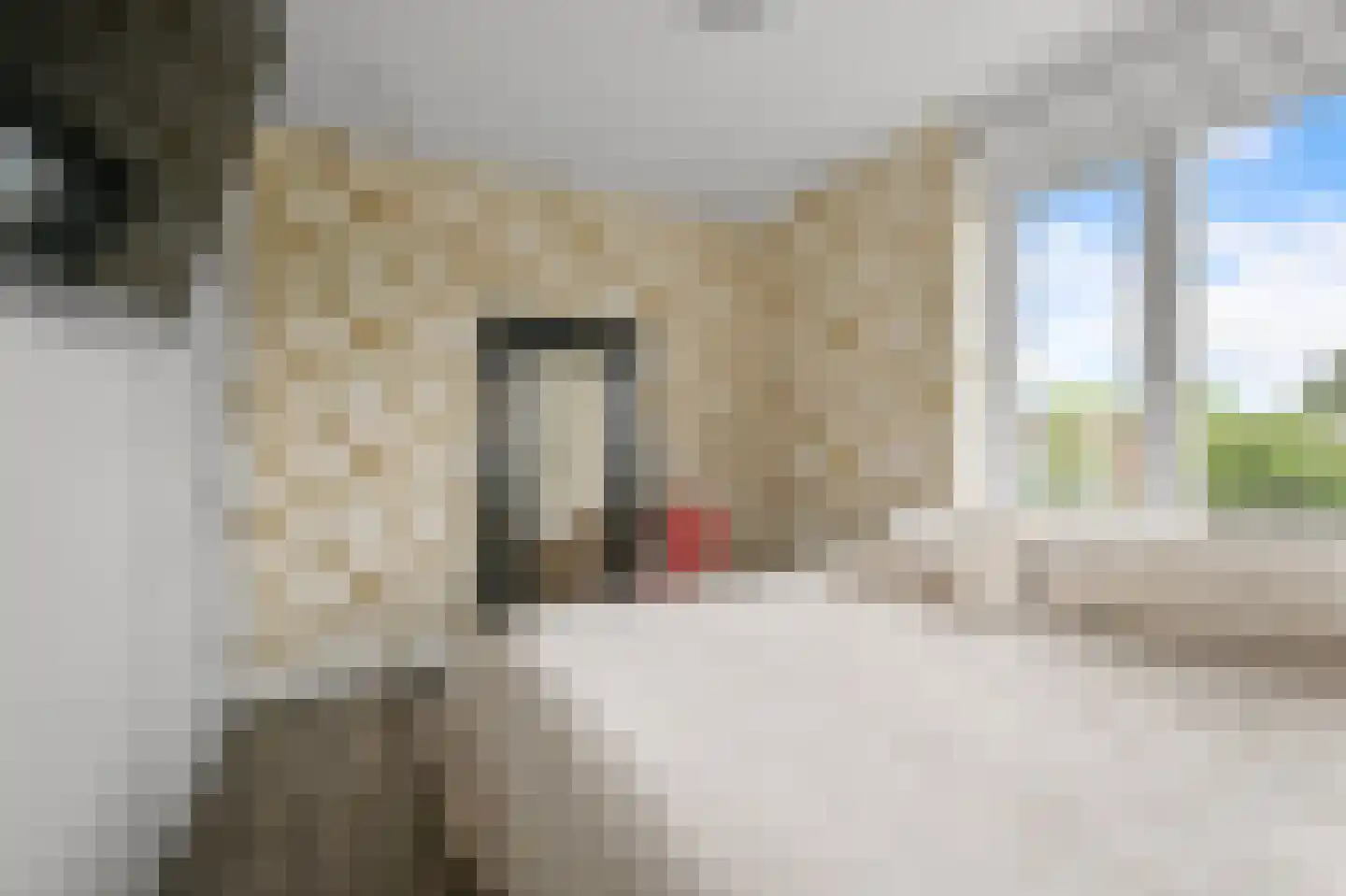 Oossaander Hoop 2 Amsterdam thumbnail 35