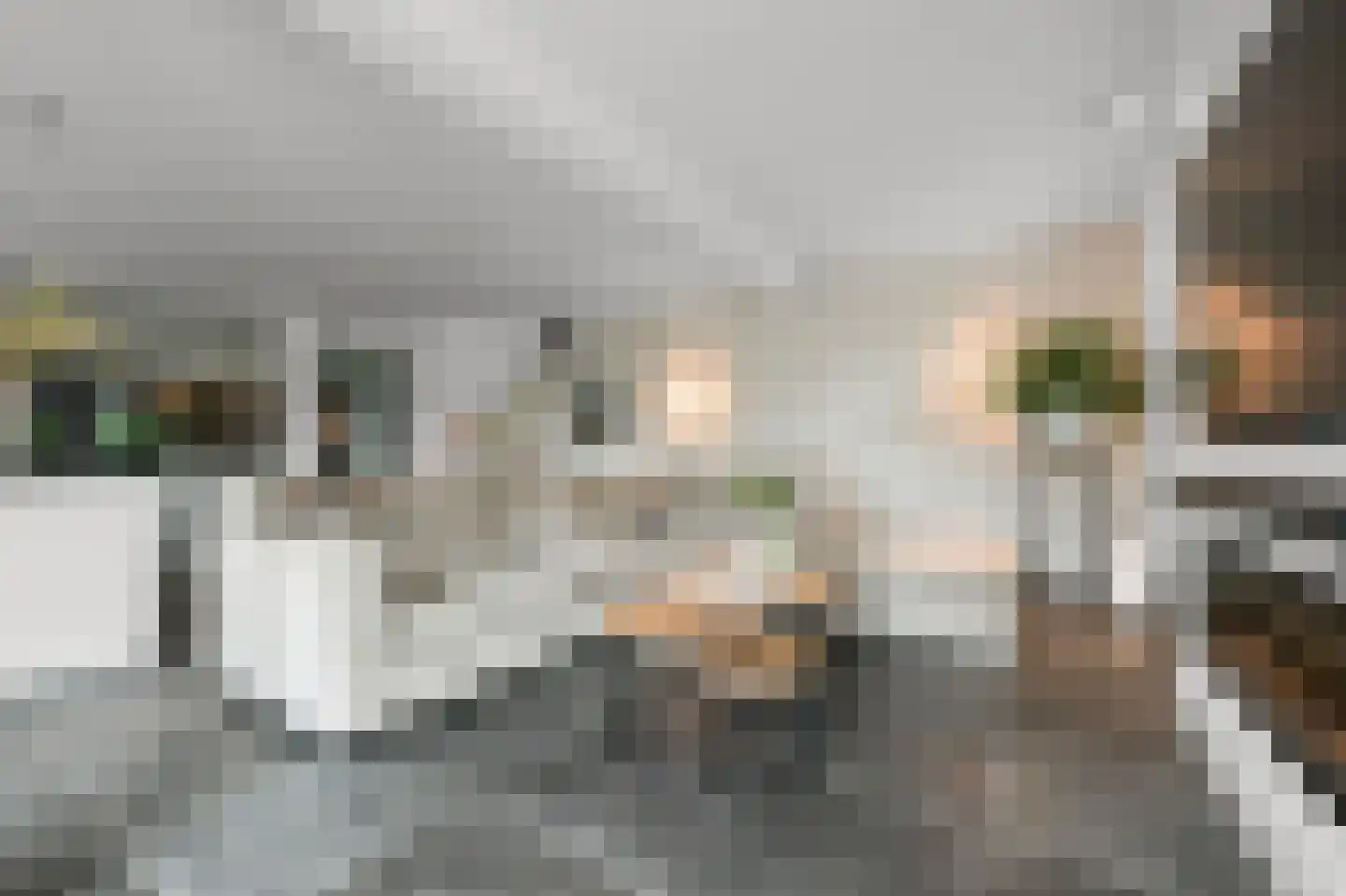 Oossaander Hoop 2 Amsterdam thumbnail 4