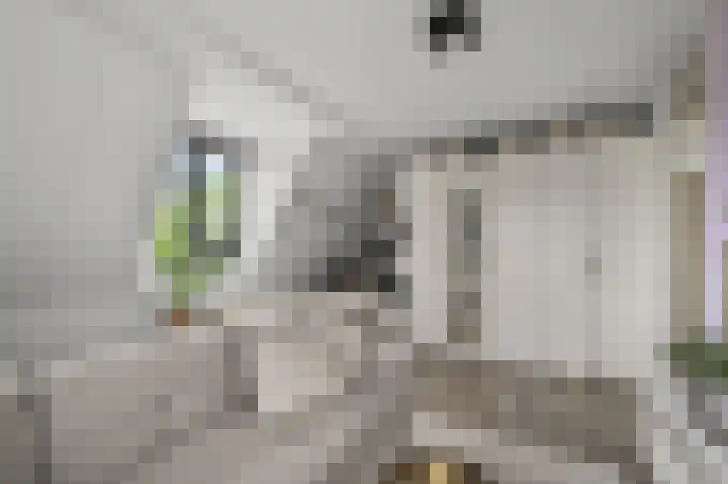 Oossaander Hoop 2 Amsterdam thumbnail 40