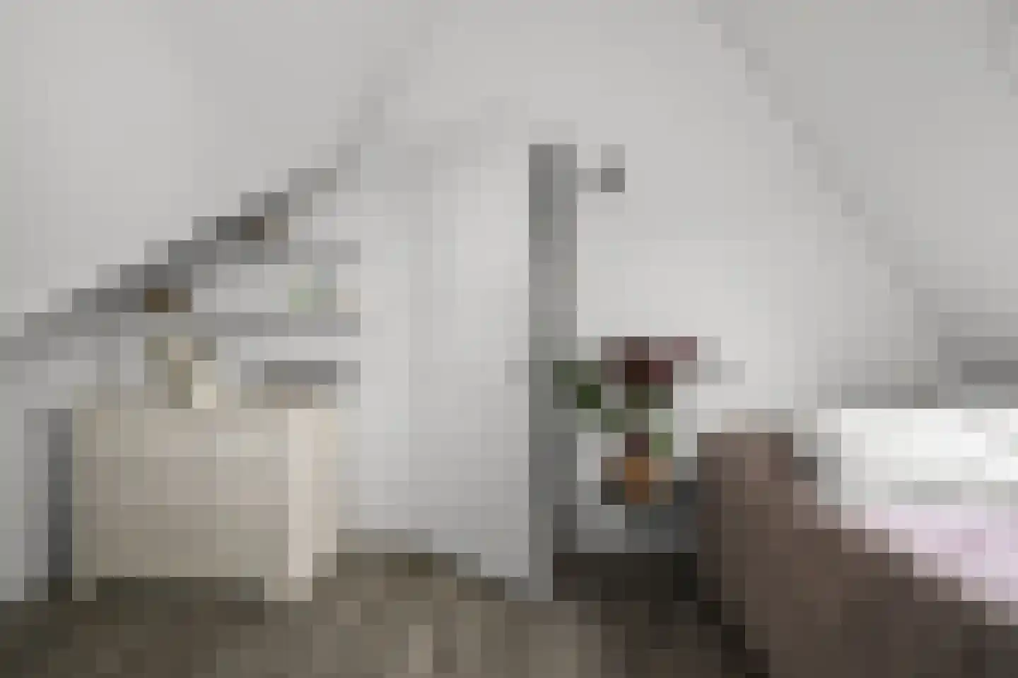 Oossaander Hoop 2 Amsterdam thumbnail 53