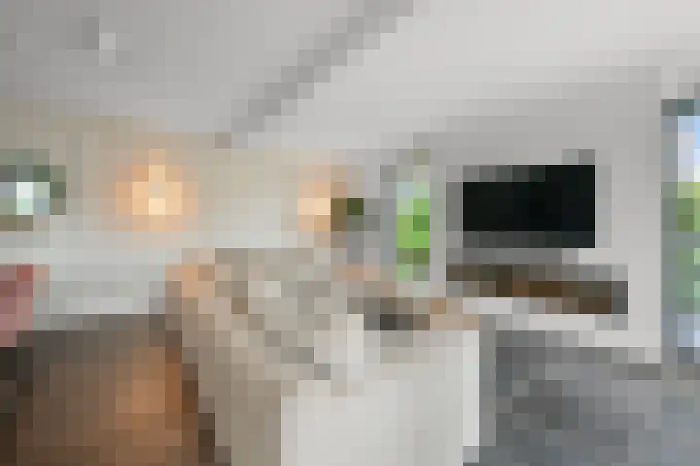 Oossaander Hoop 2 Amsterdam thumbnail 9
