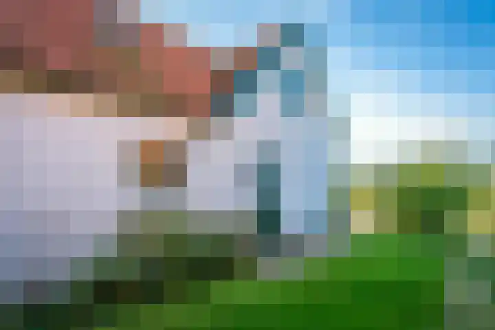 Oost 28 Oosterend thumbnail 12