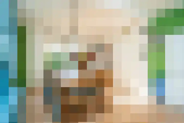 Oost 28 Oosterend thumbnail 23