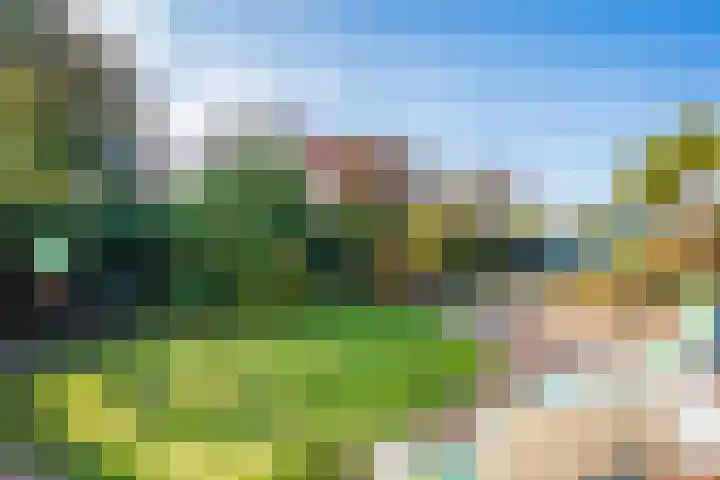 Oost 28 Oosterend thumbnail 25