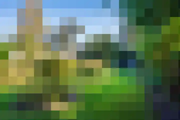 Oost 28 Oosterend thumbnail 27