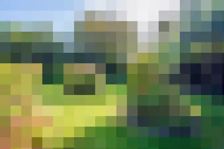 Oost 28 Oosterend thumbnail 28