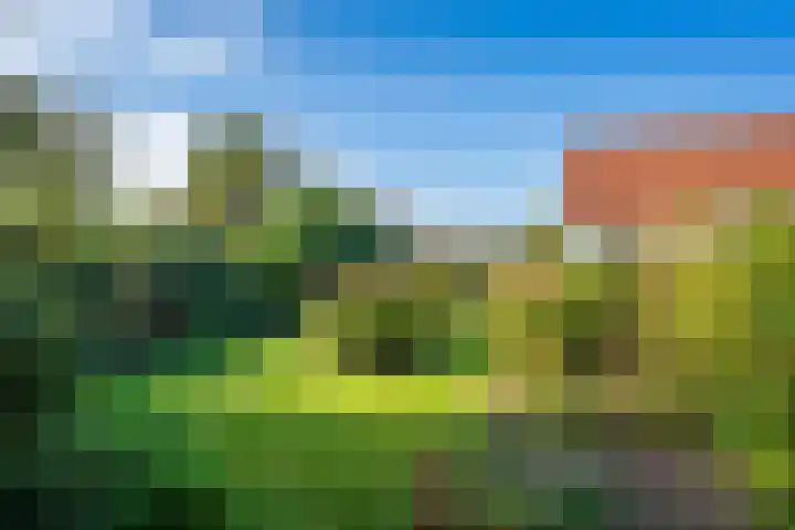 Oost 28 Oosterend thumbnail 30