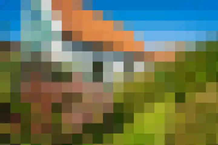 Oost 28 Oosterend thumbnail 31