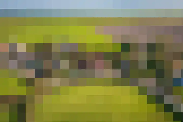 Oost 28 Oosterend thumbnail 6