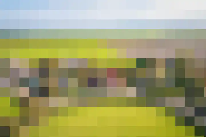 Oost 28 Oosterend thumbnail 7