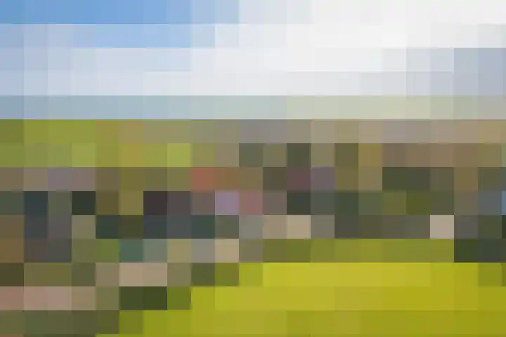 Oost 28 Oosterend thumbnail 8