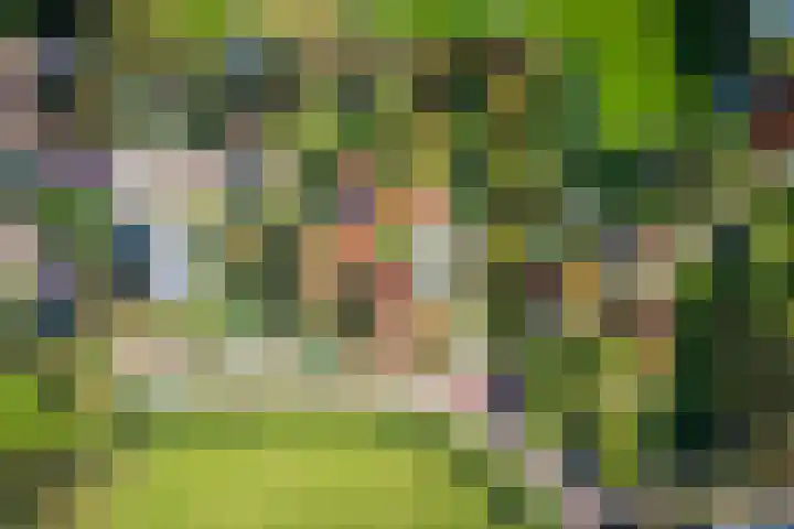 Oost 28 Oosterend thumbnail 9