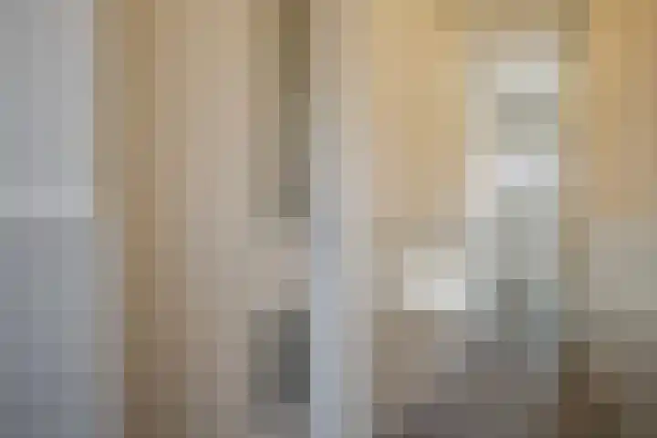Oost Achterweg 15 Oude-Tonge thumbnail 10