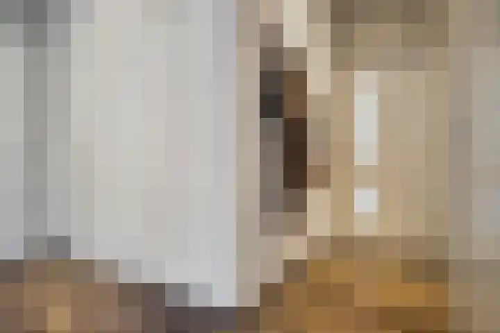 Oost Achterweg 15 Oude-Tonge thumbnail 11