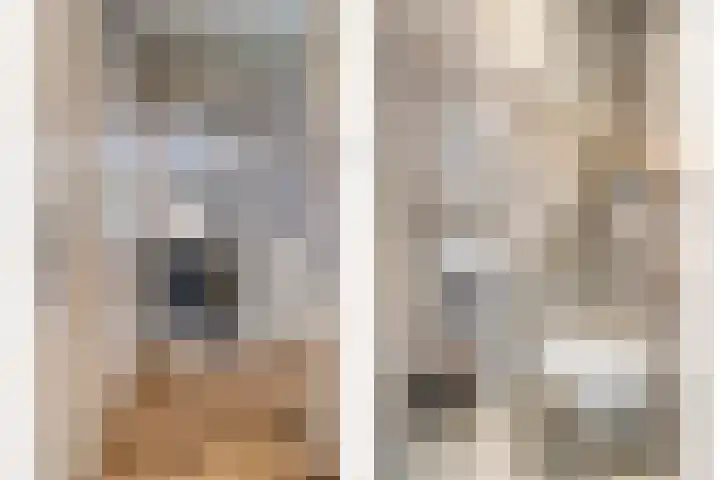 Oost Achterweg 15 Oude-Tonge thumbnail 12