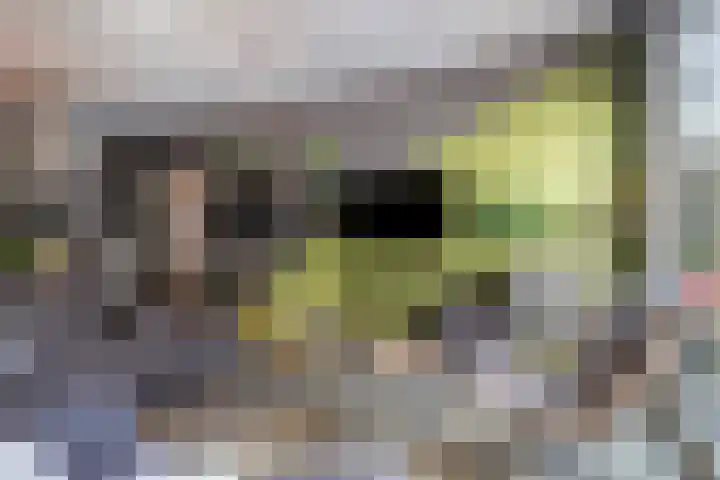 Oost Achterweg 15 Oude-Tonge thumbnail 15