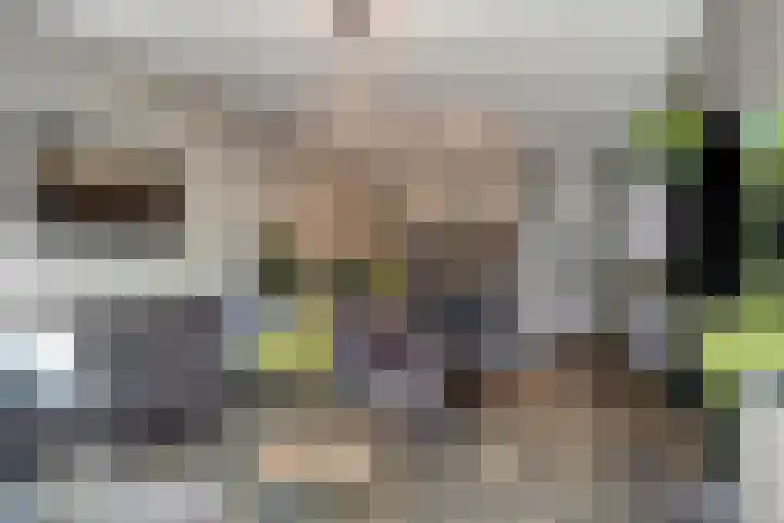 Oost Achterweg 15 Oude-Tonge thumbnail 16