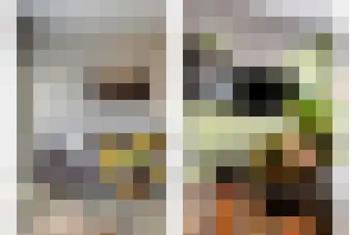 Oost Achterweg 15 Oude-Tonge thumbnail 17