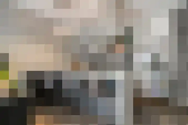 Oost Achterweg 15 Oude-Tonge thumbnail 18