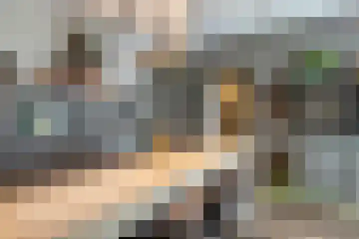 Oost Achterweg 15 Oude-Tonge thumbnail 19