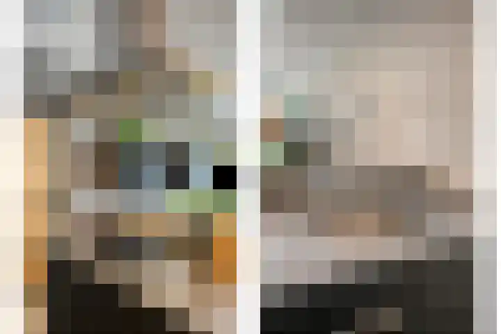 Oost Achterweg 15 Oude-Tonge thumbnail 23
