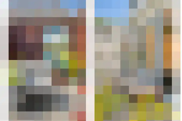Oost Achterweg 15 Oude-Tonge thumbnail 24