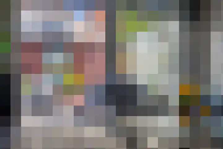 Oost Achterweg 15 Oude-Tonge thumbnail 25