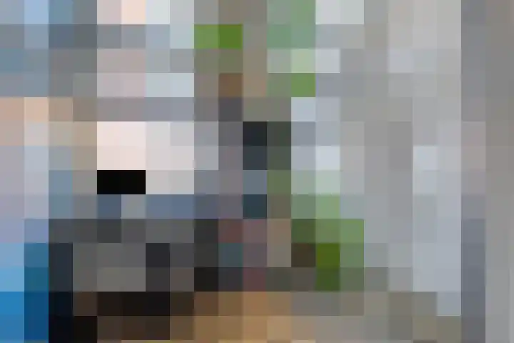Oost Achterweg 15 Oude-Tonge thumbnail 28