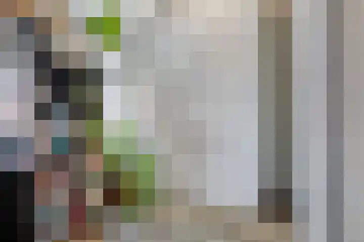 Oost Achterweg 15 Oude-Tonge thumbnail 29