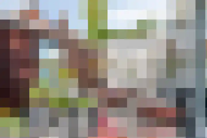 Oost Achterweg 15 Oude-Tonge thumbnail 33