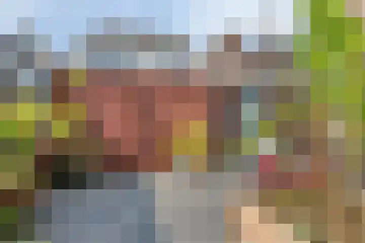Oost Achterweg 15 Oude-Tonge thumbnail 35
