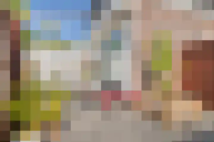 Oost Achterweg 15 Oude-Tonge thumbnail 36