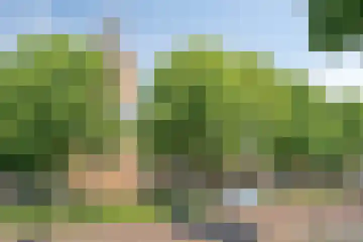 Oost Achterweg 15 Oude-Tonge thumbnail 41