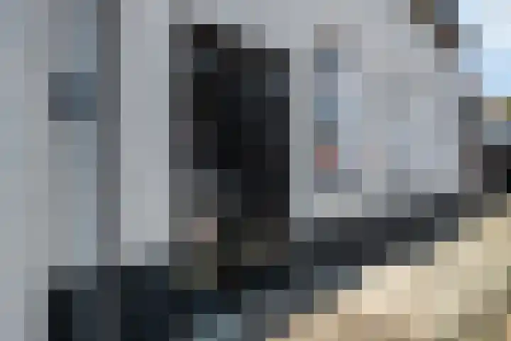 Oost Achterweg 15 Oude-Tonge thumbnail 8