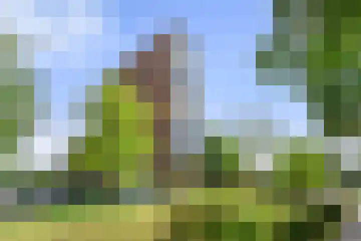 Oost-Breukelderweg 16 Bennekom thumbnail 5