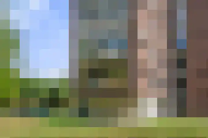 Oost-Breukelderweg 16 Bennekom thumbnail 6