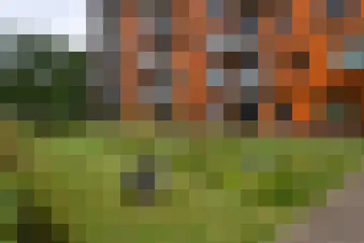 Oost-Breukelderweg 52 Bennekom thumbnail 5