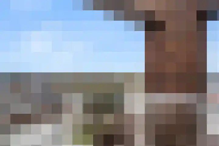 Oost-Breukelderweg 82 Bennekom thumbnail 18