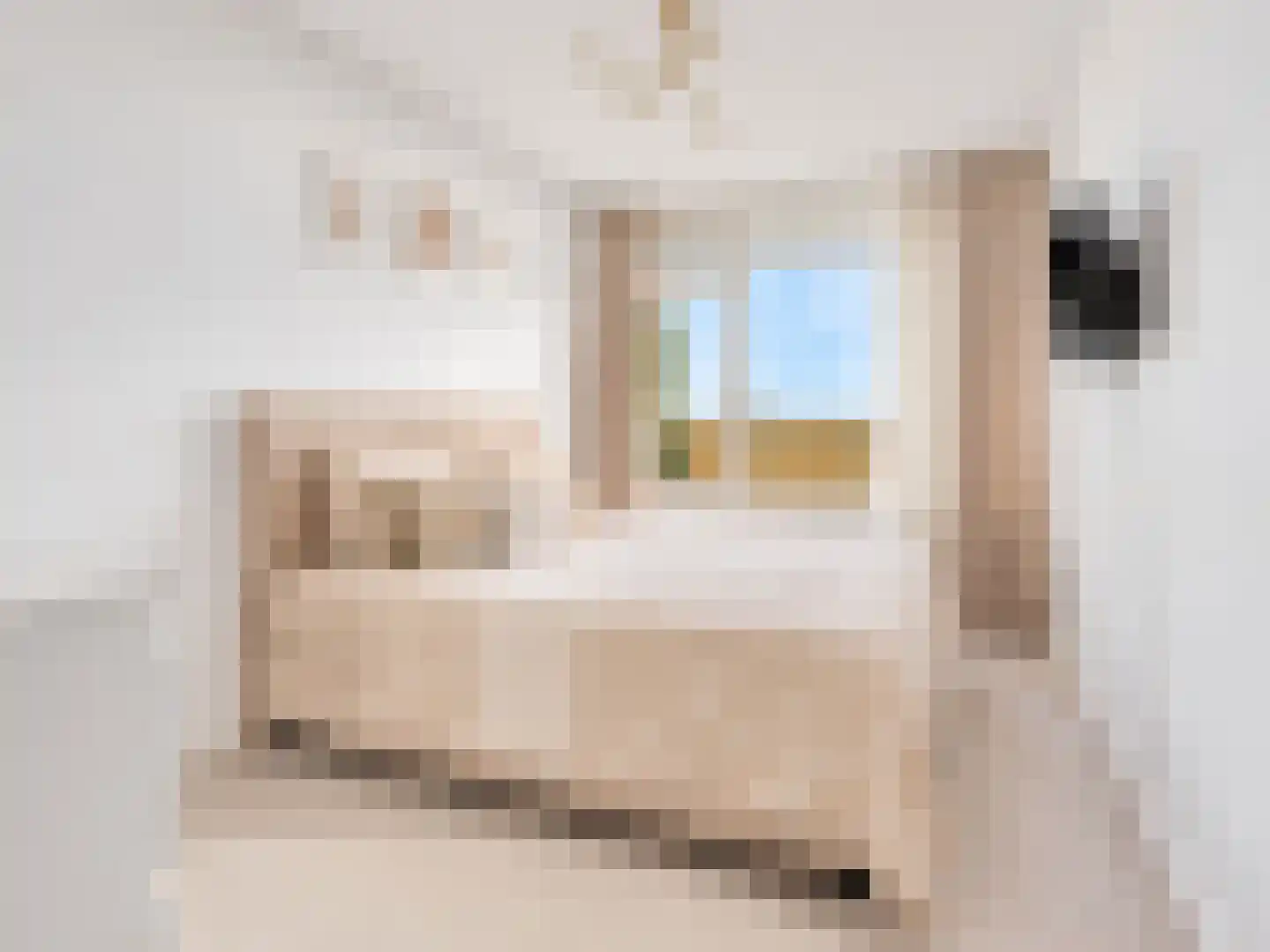 Oost-Dorsch 103 Zaandam thumbnail 10