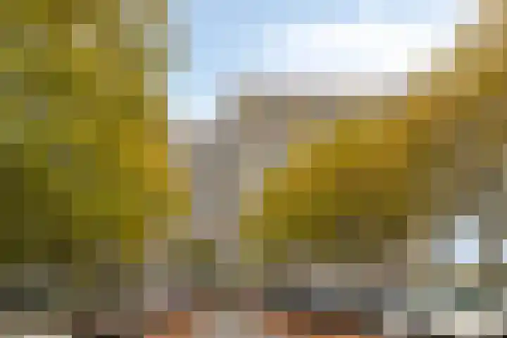 Oost-Dorsch 129 Zaandam thumbnail 6