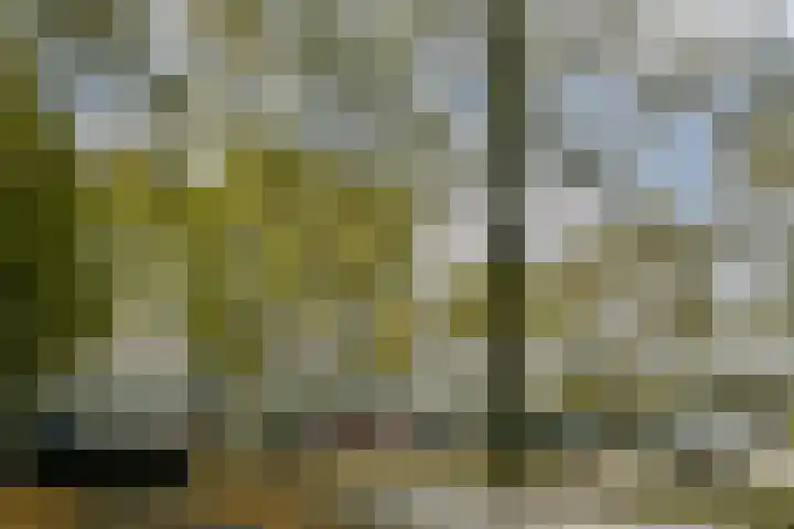 Oost-Dorsch 134 Zaandam thumbnail 4