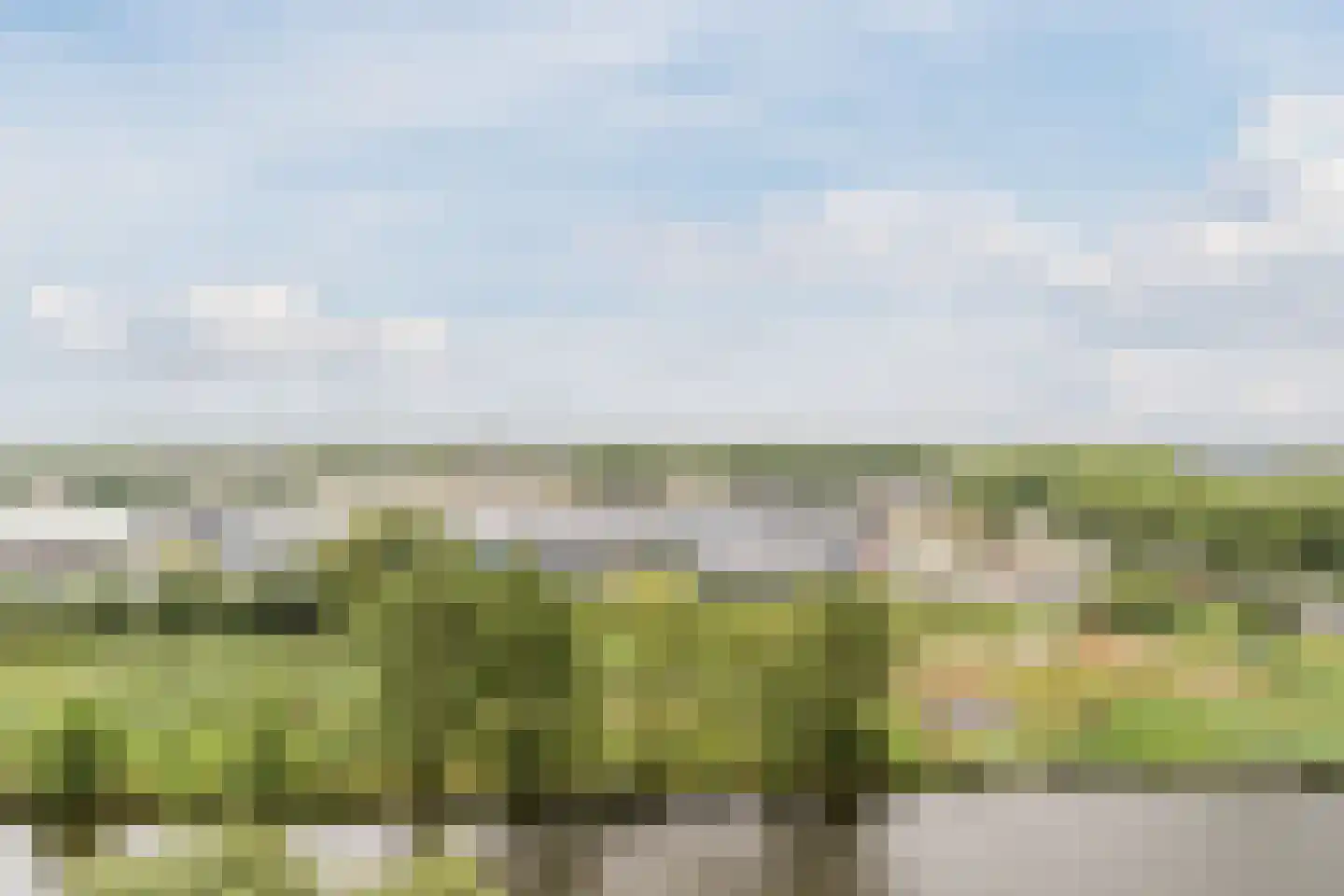 Oost-Dorsch 137 Zaandam thumbnail 11