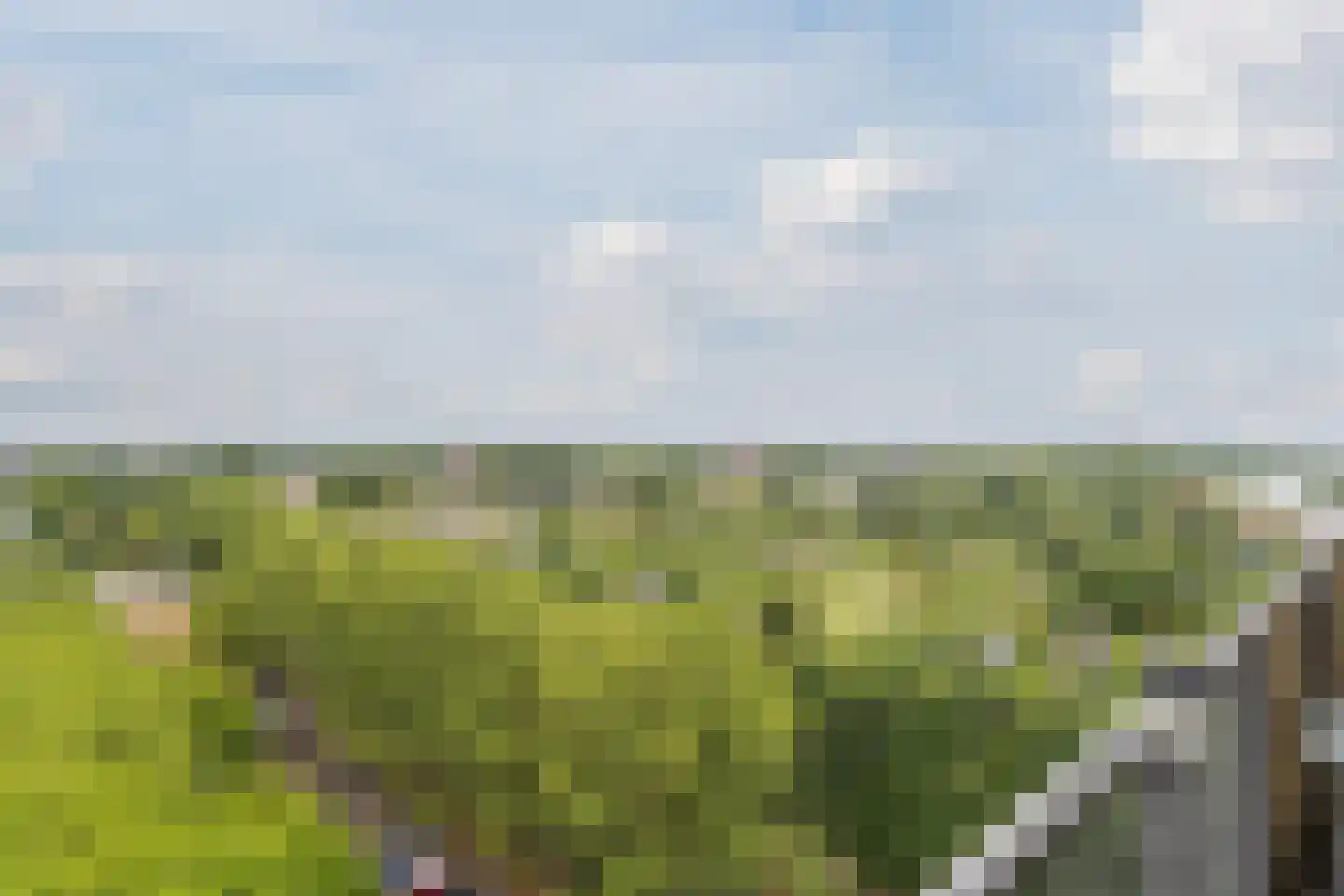 Oost-Dorsch 137 Zaandam thumbnail 33