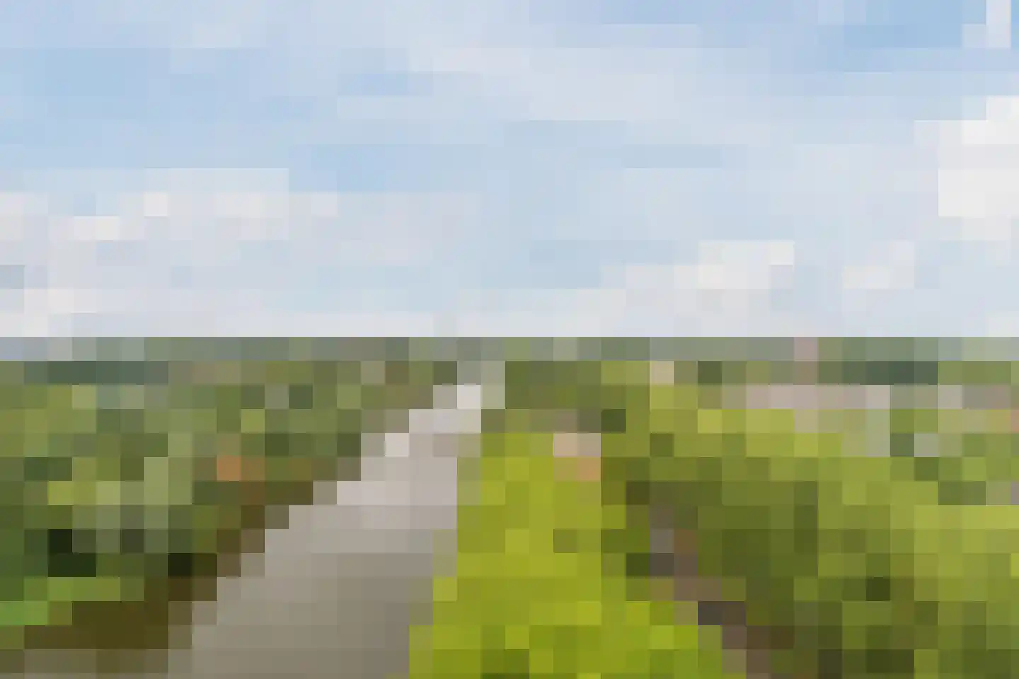 Oost-Dorsch 137 Zaandam thumbnail 34