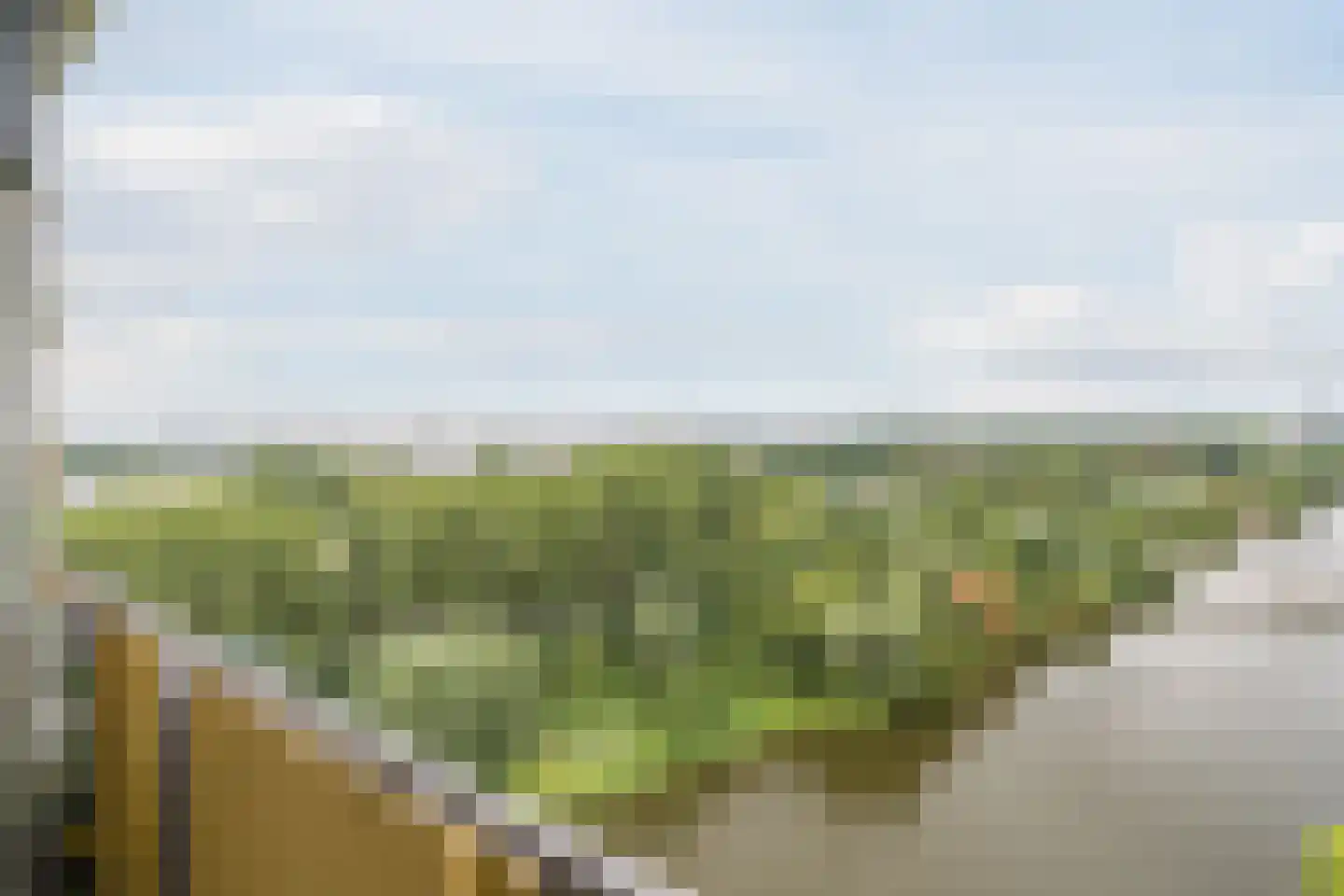 Oost-Dorsch 137 Zaandam thumbnail 35