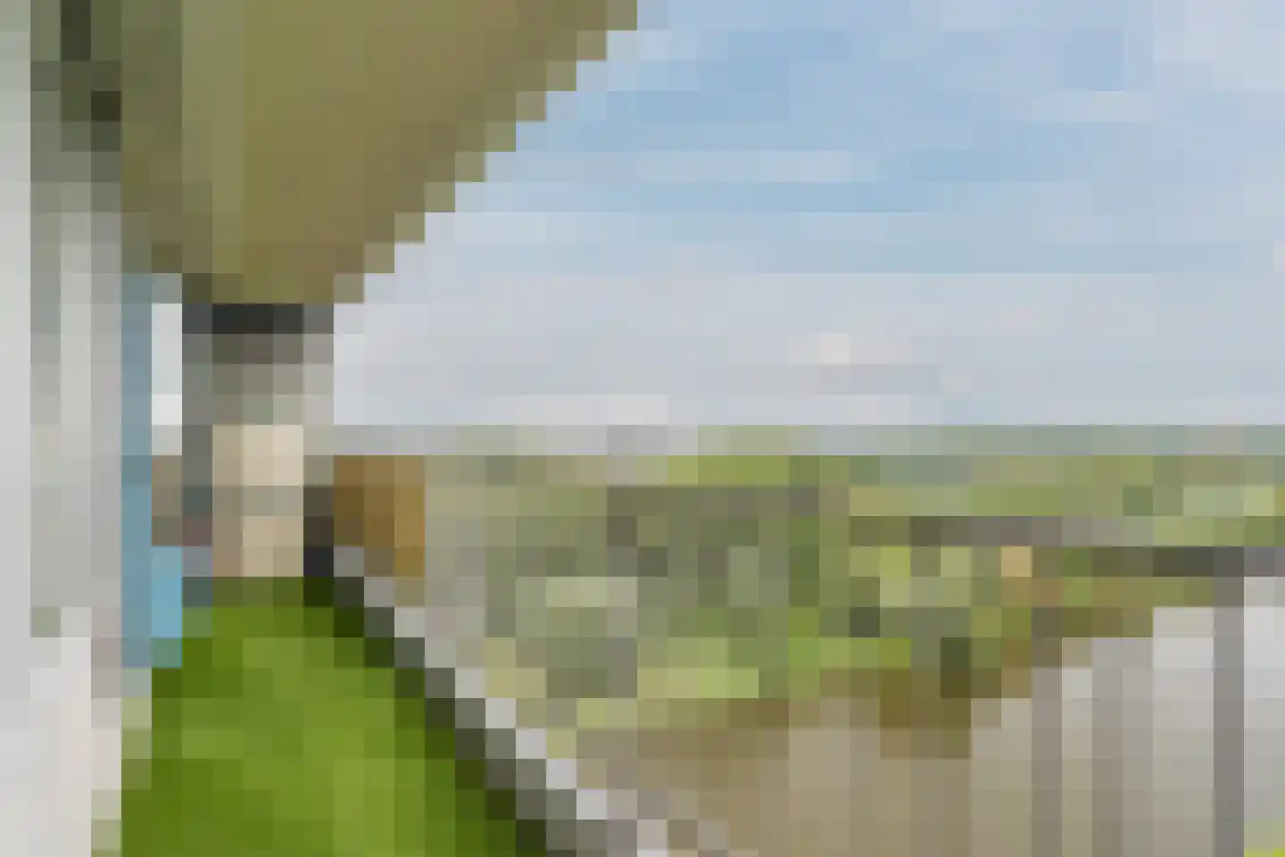 Oost-Dorsch 137 Zaandam thumbnail 5