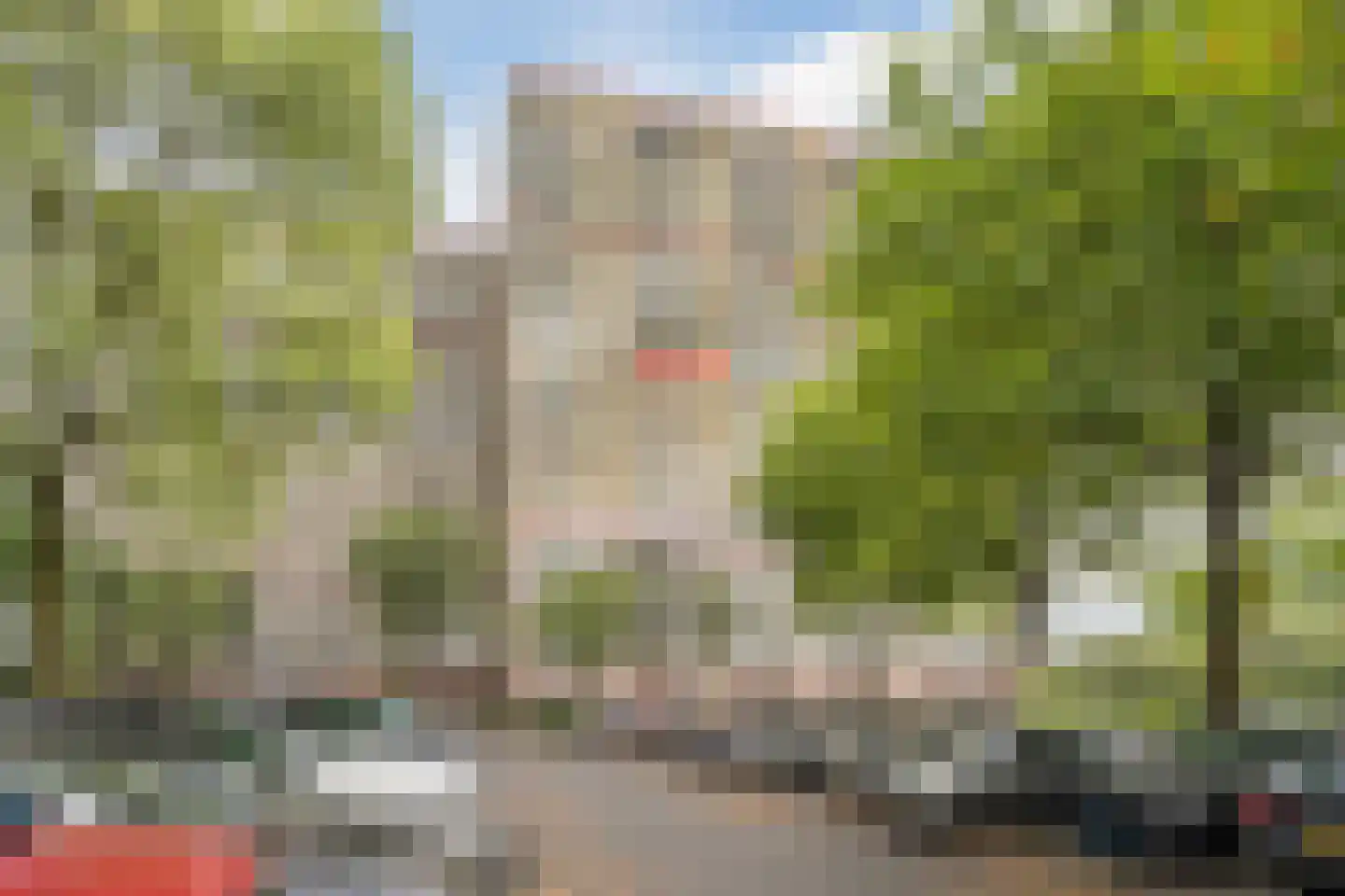 Oost-Dorsch 137 Zaandam thumbnail 6