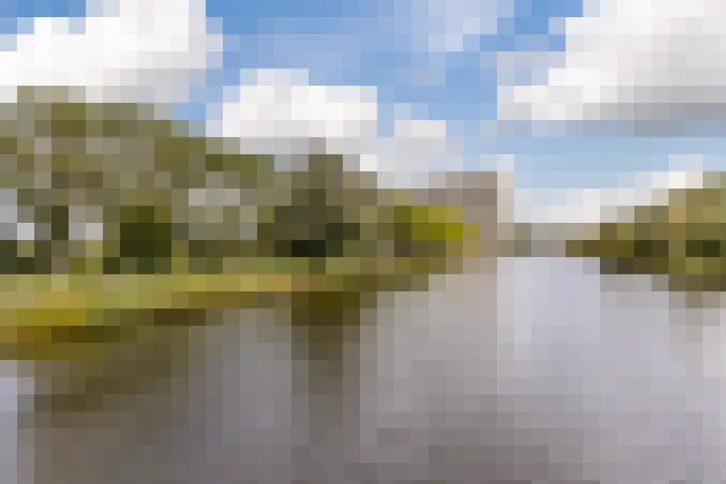 Oost-Dorsch 142 Zaandam thumbnail 15